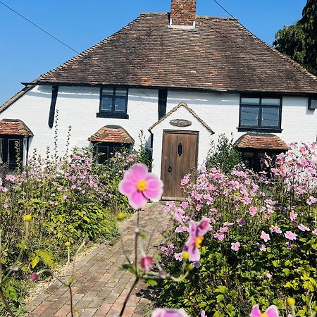Local Walks Pub Gardens Pet Friendly Landscaped Gardens And Free Private Parking Villa Doddington  Exterior photo